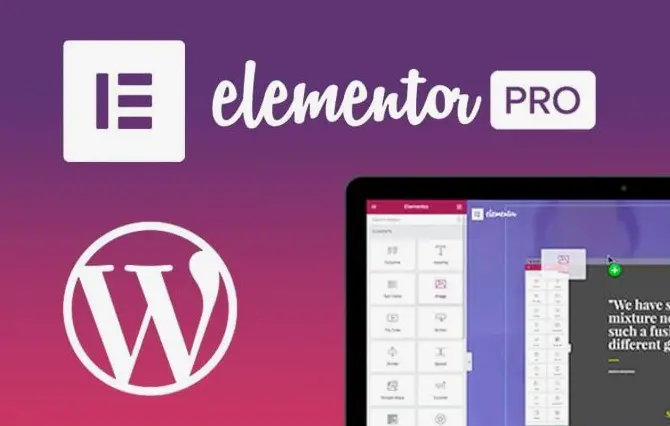 What is elementor used for