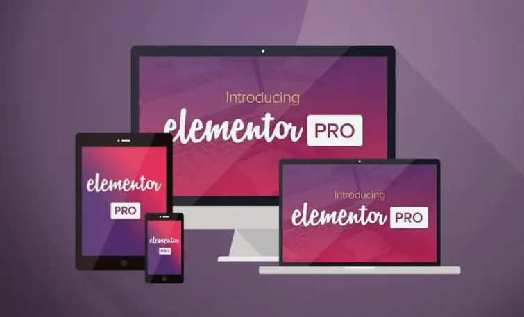 What is elementor used for