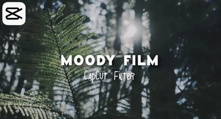 capcut filter for cinematic