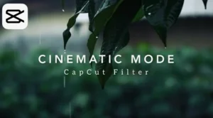 capcut filter for cinematic