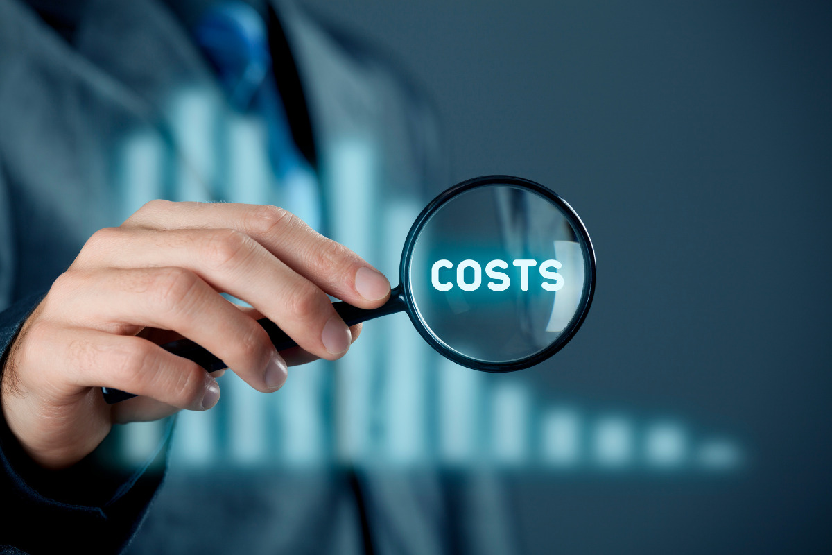 Cost-Effective Hosting Solutions